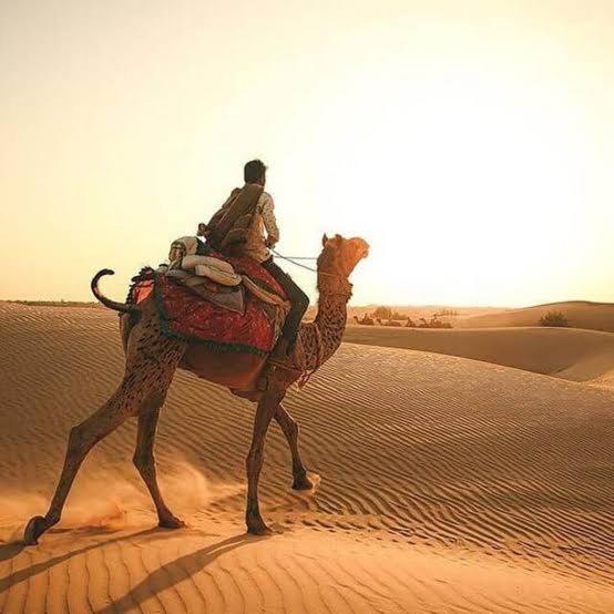 Desert Holiday Jaisalmer Buitenkant foto